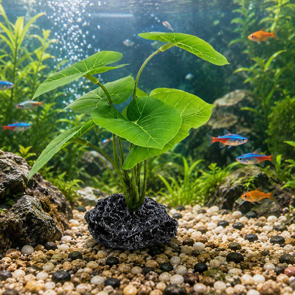 1pc Aquarium Simulation Plant  - Terrarium Moss Art review and price